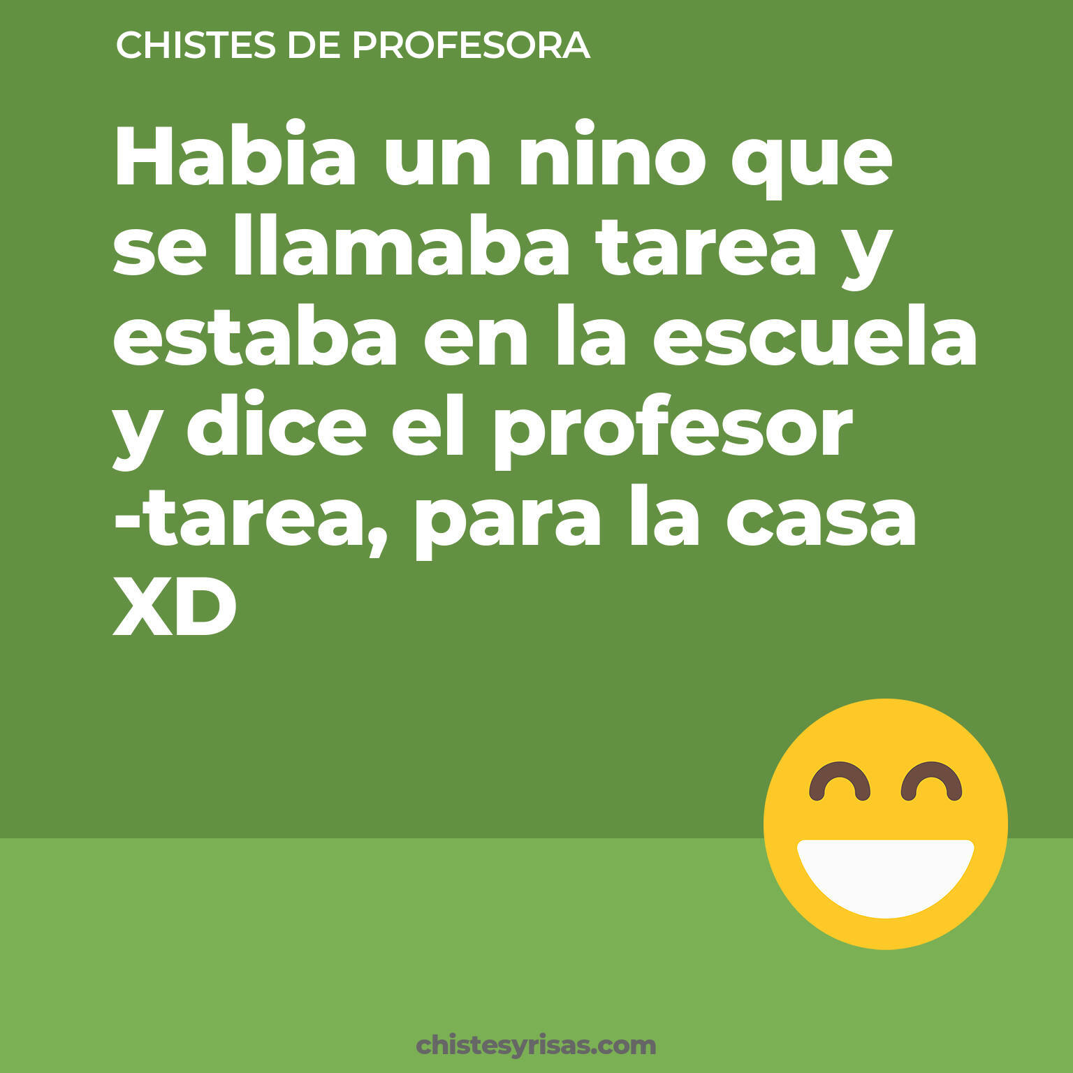 chistes de Profesora cortos