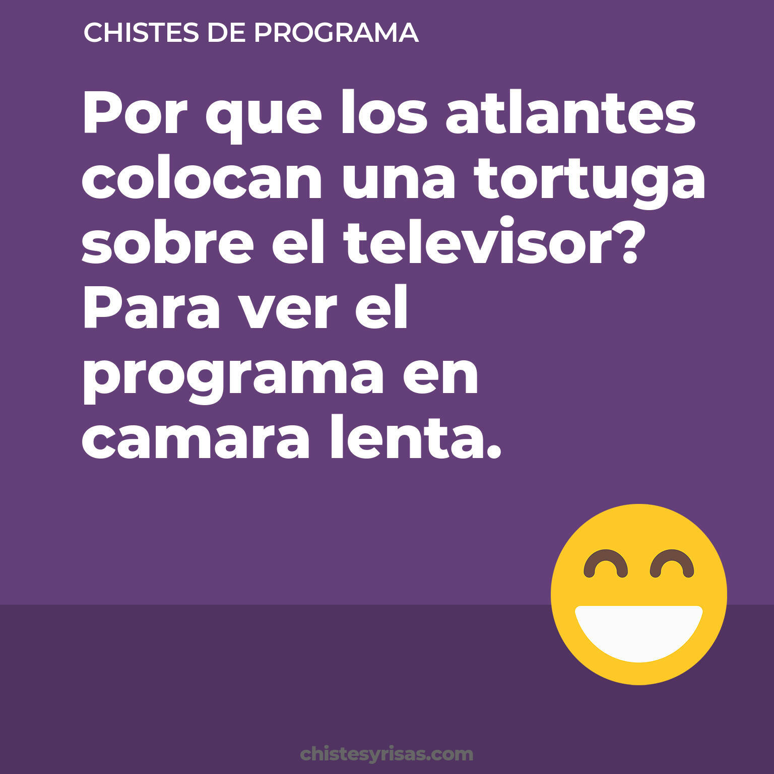 chistes de Programa cortos