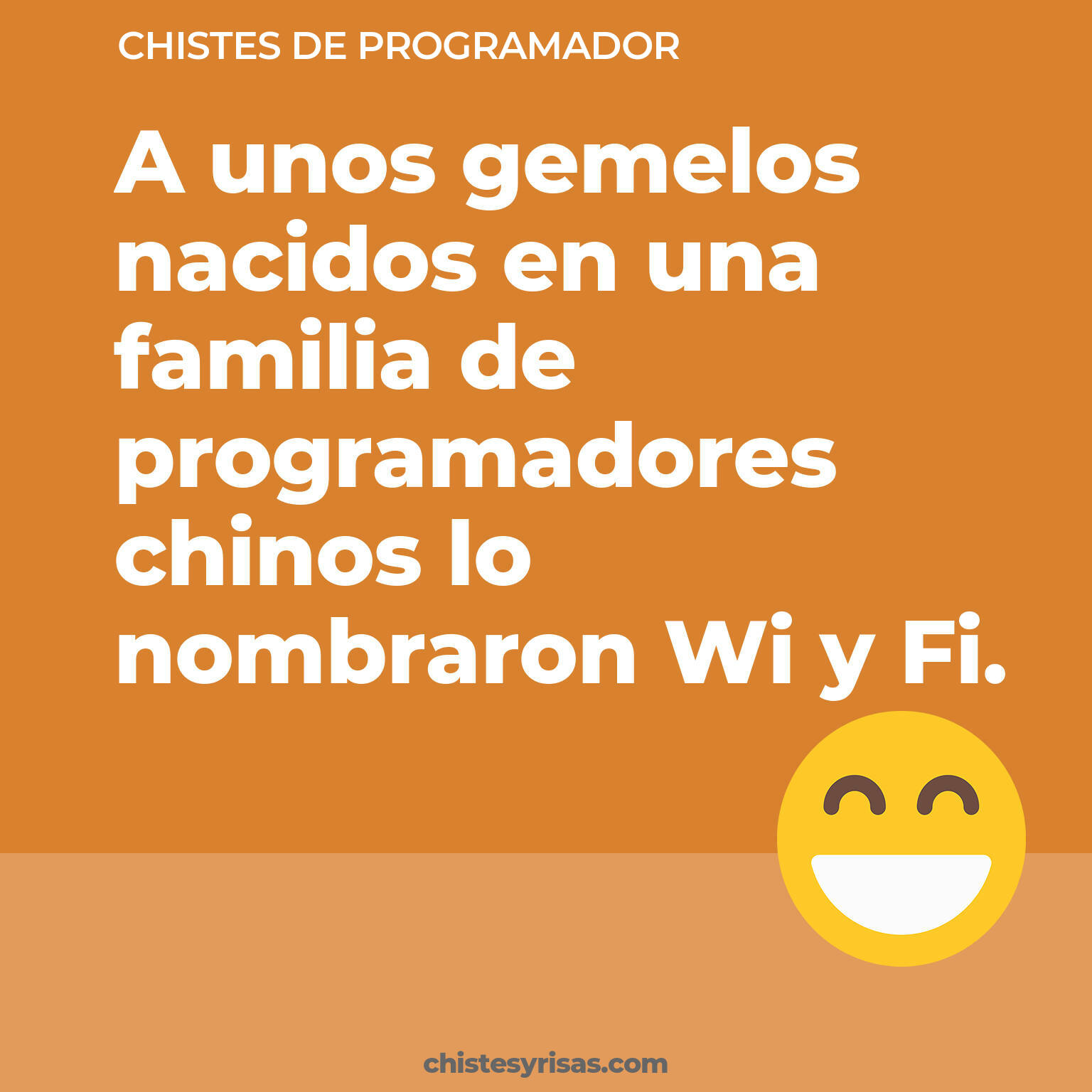 chistes de Programador buenos