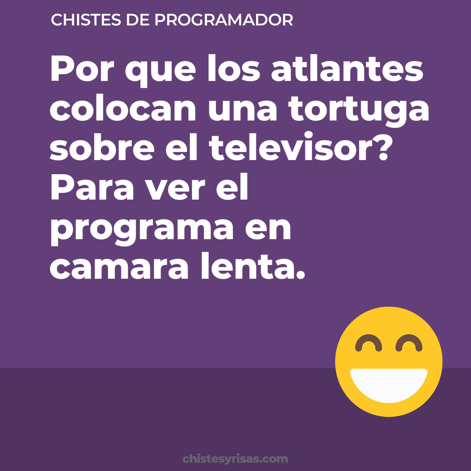 chistes de Programador cortos