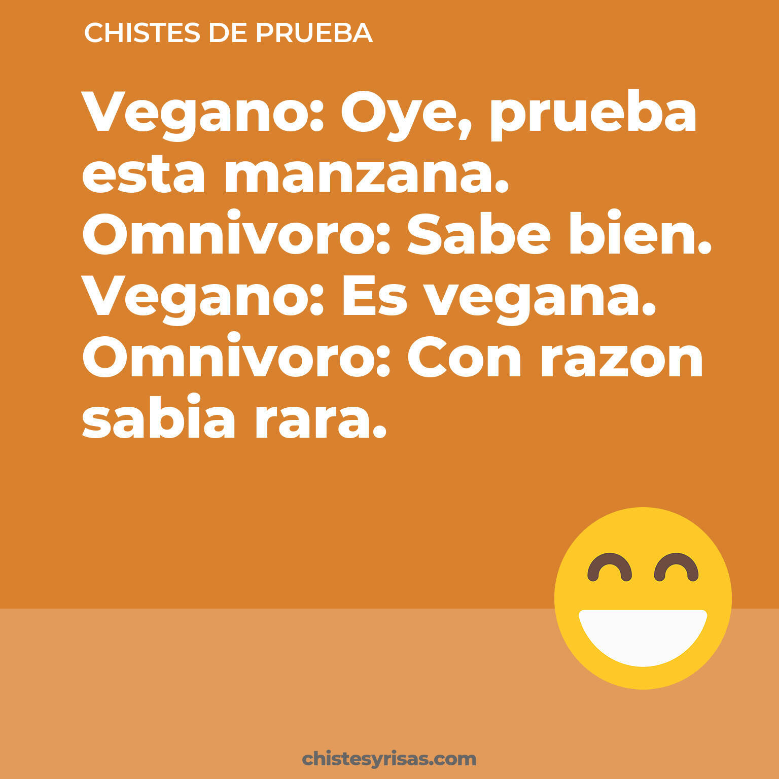 chistes de Prueba más graciosos