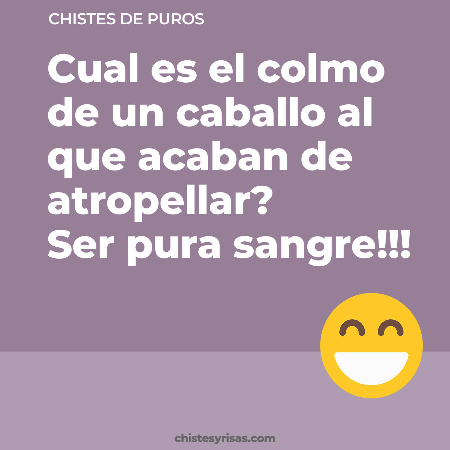 chistes de Puros cortos