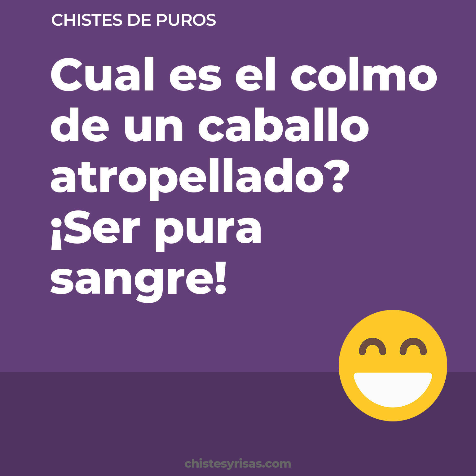 chistes de Puros más graciosos