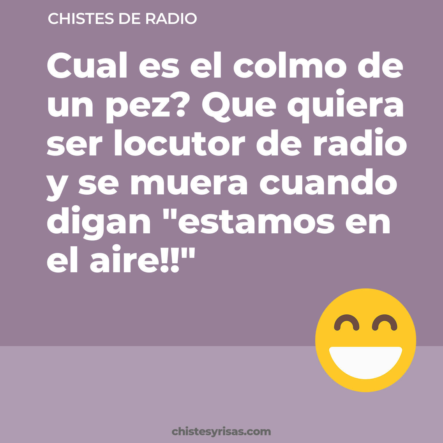 chistes de Radio más graciosos