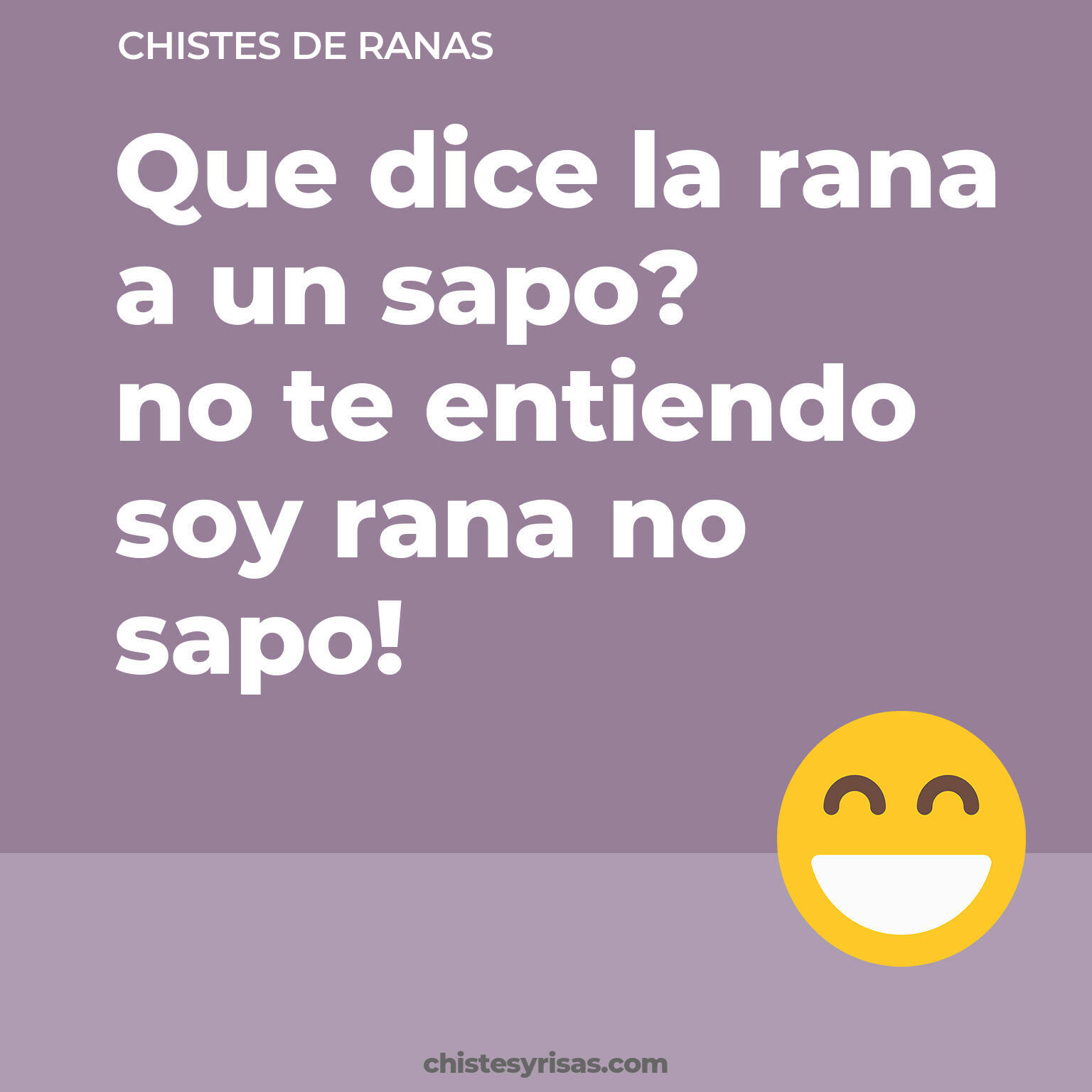 chistes de Ranas buenos