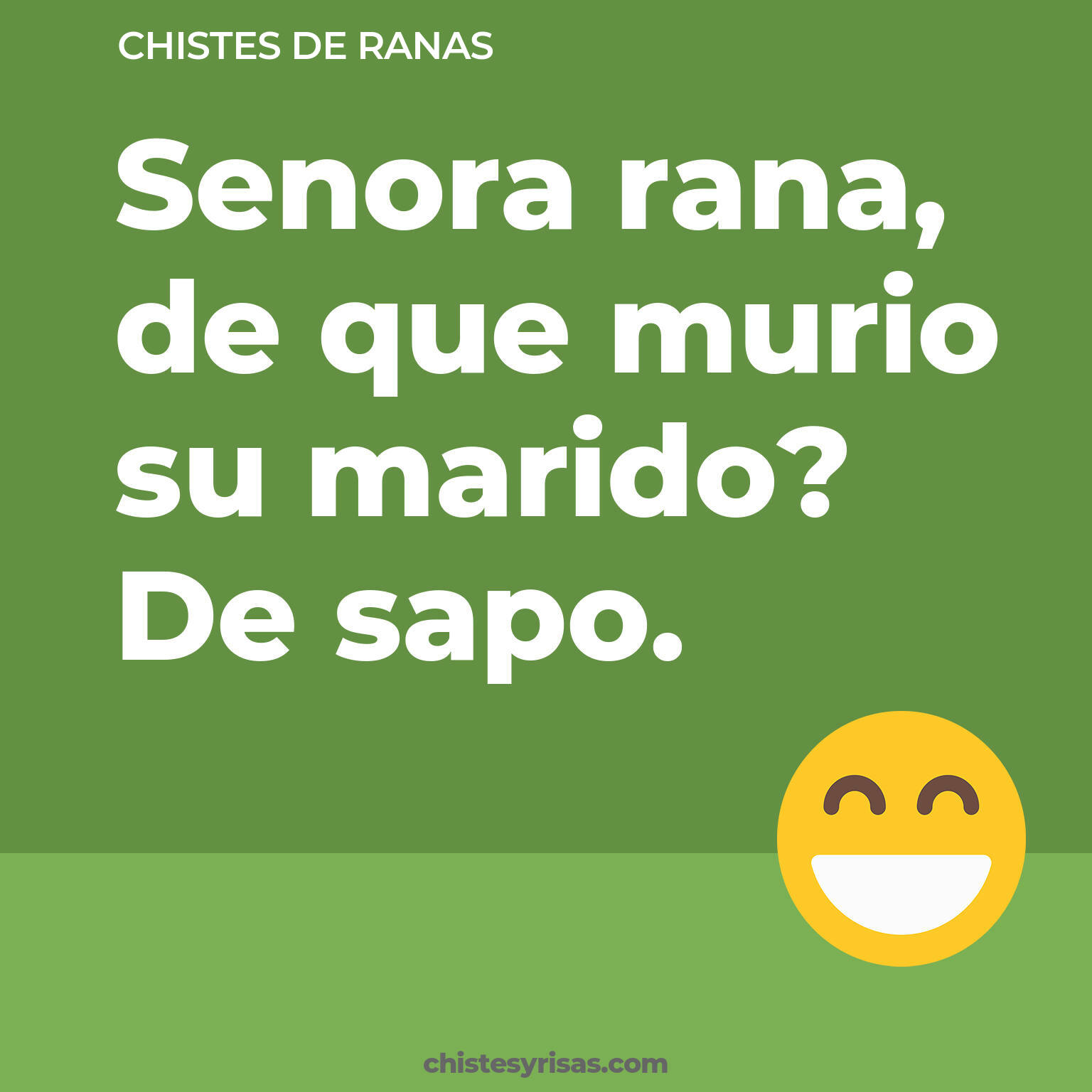 chistes de Ranas cortos