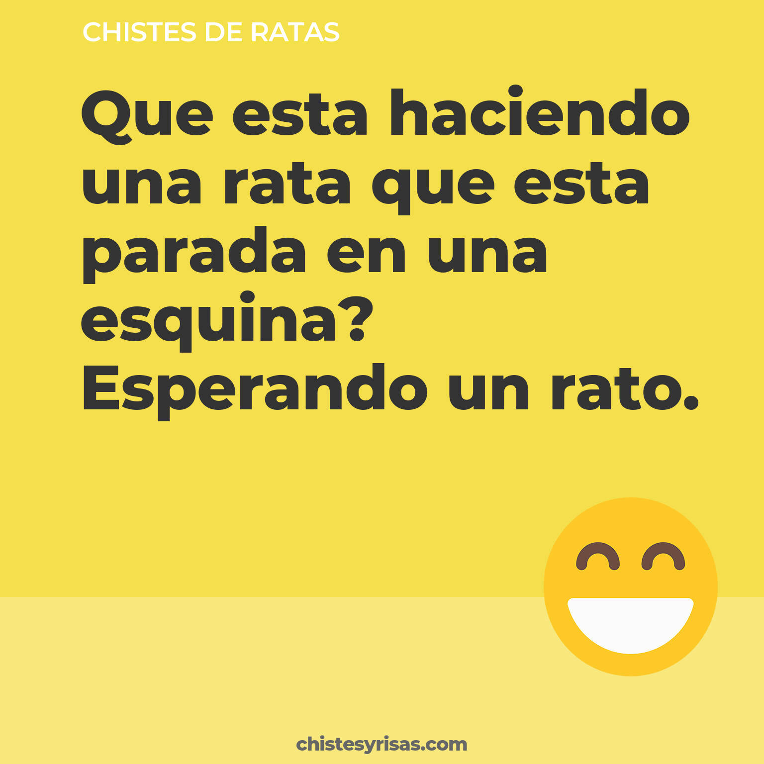 chistes de Ratas buenos