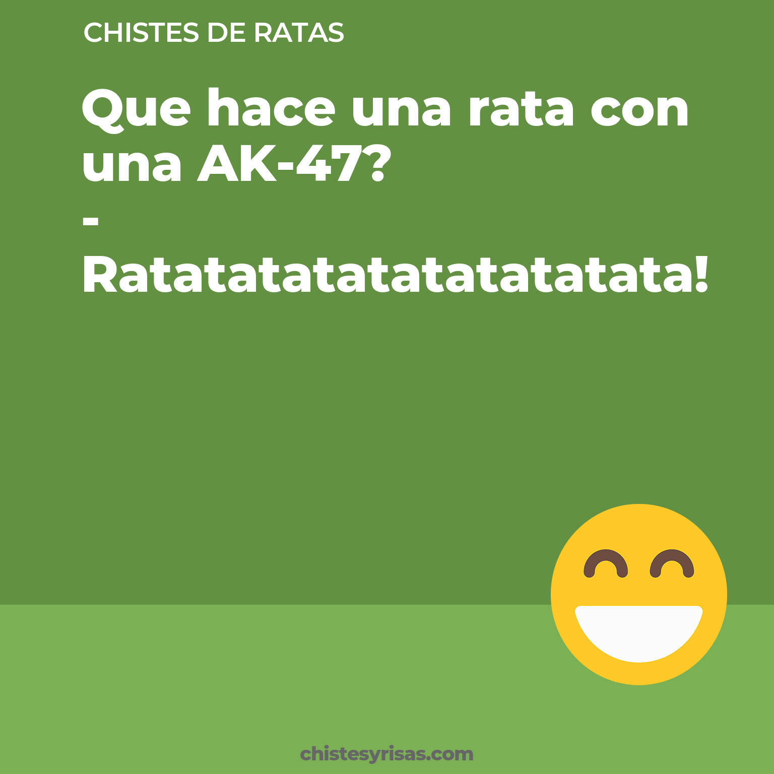 chistes de Ratas cortos