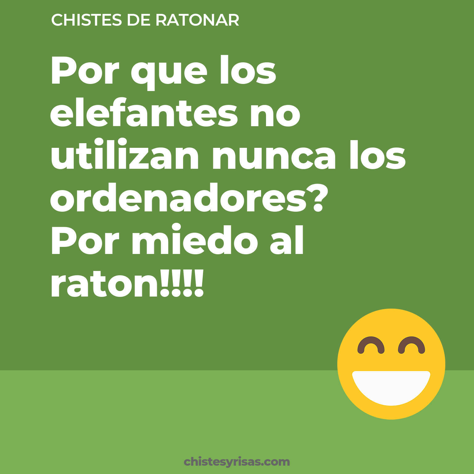 chistes de Ratonar más graciosos