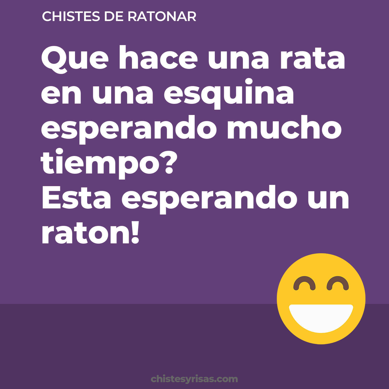 chistes de Ratonar cortos