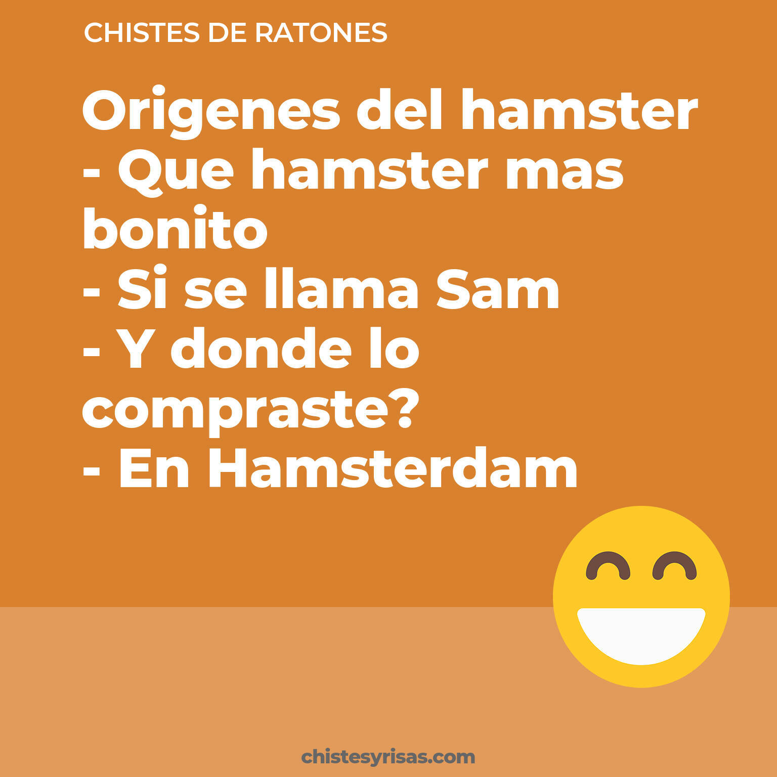 chistes de Ratones buenos