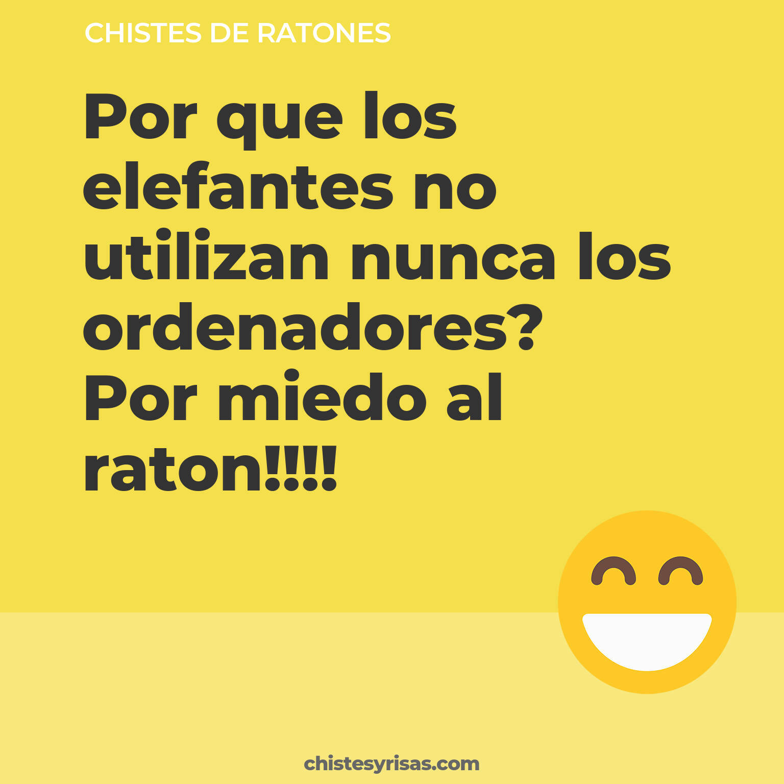 chistes de Ratones más graciosos