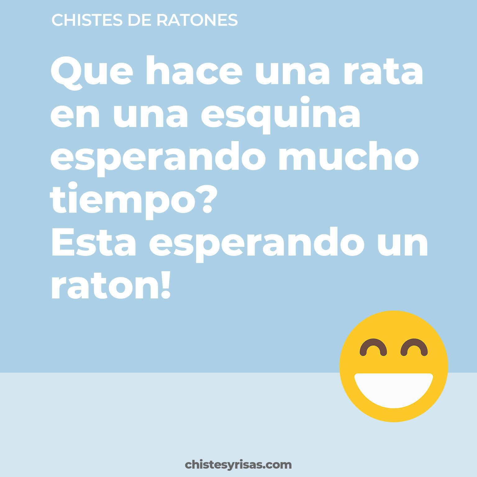 chistes de Ratones cortos