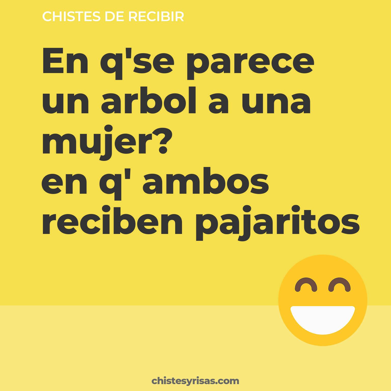 chistes de Recibir cortos