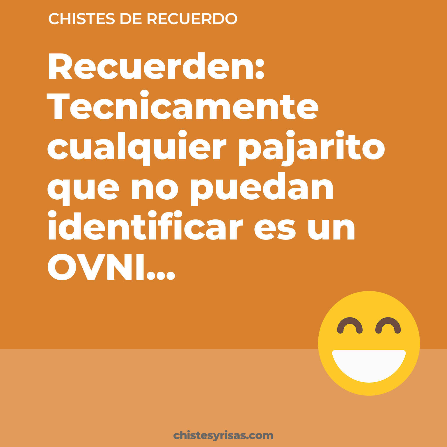 chistes de Recuerdo cortos