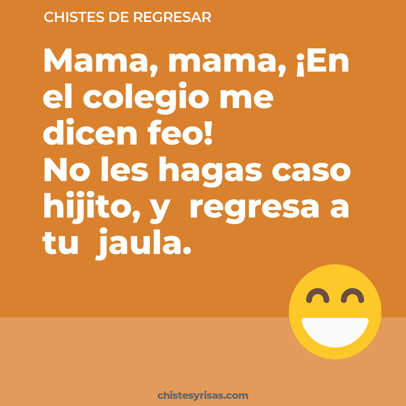 chistes de Regresar más graciosos