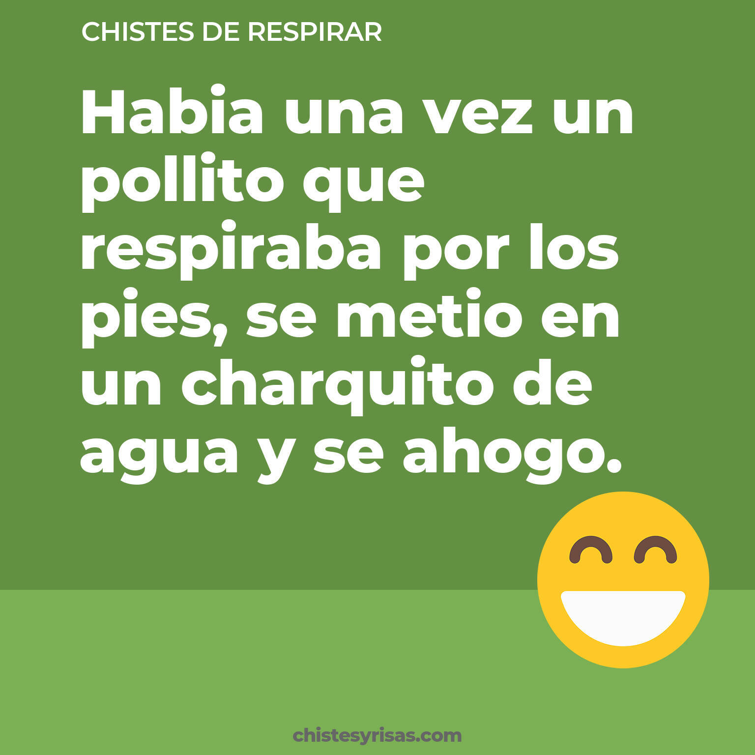 chistes de Respirar más graciosos