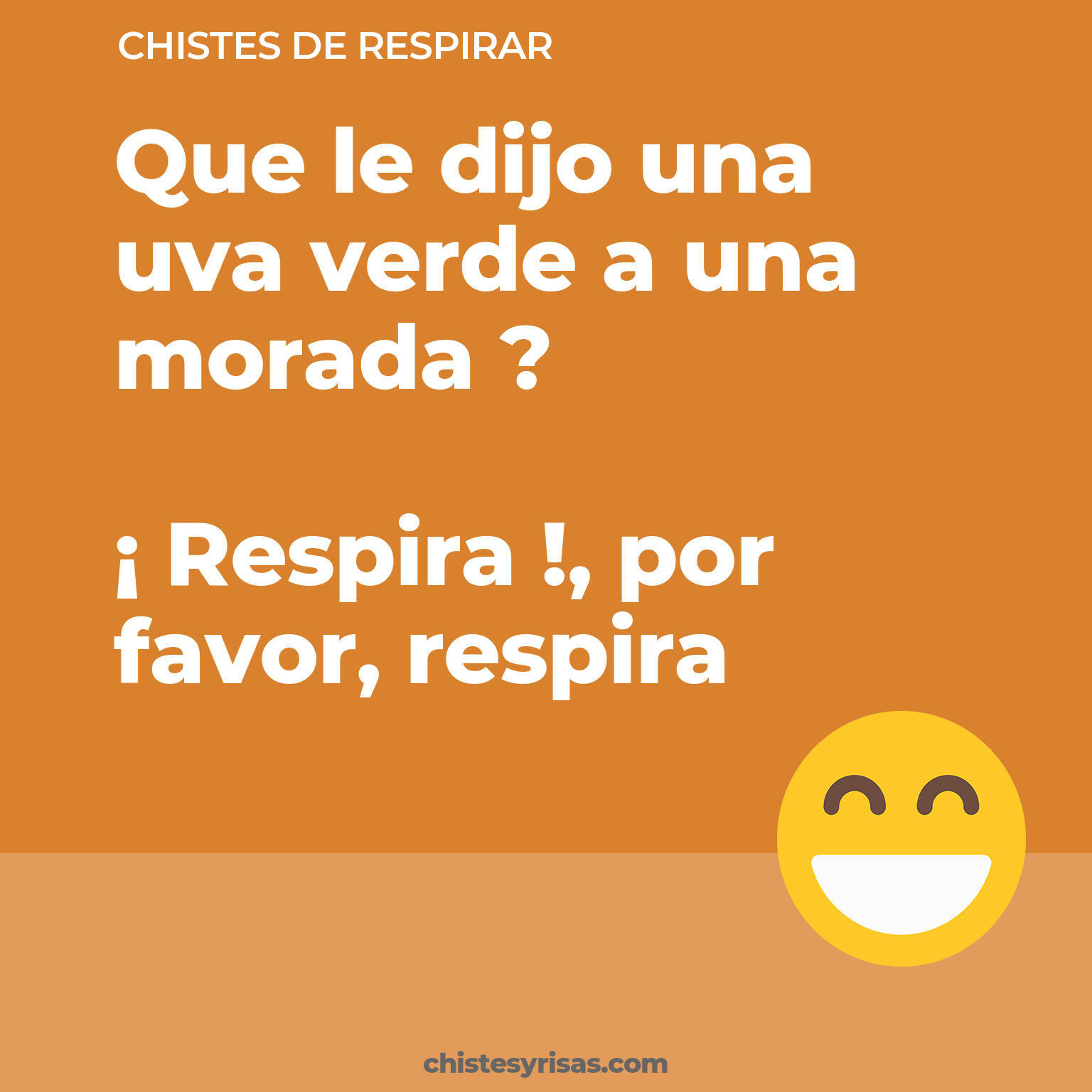 chistes de Respirar buenos