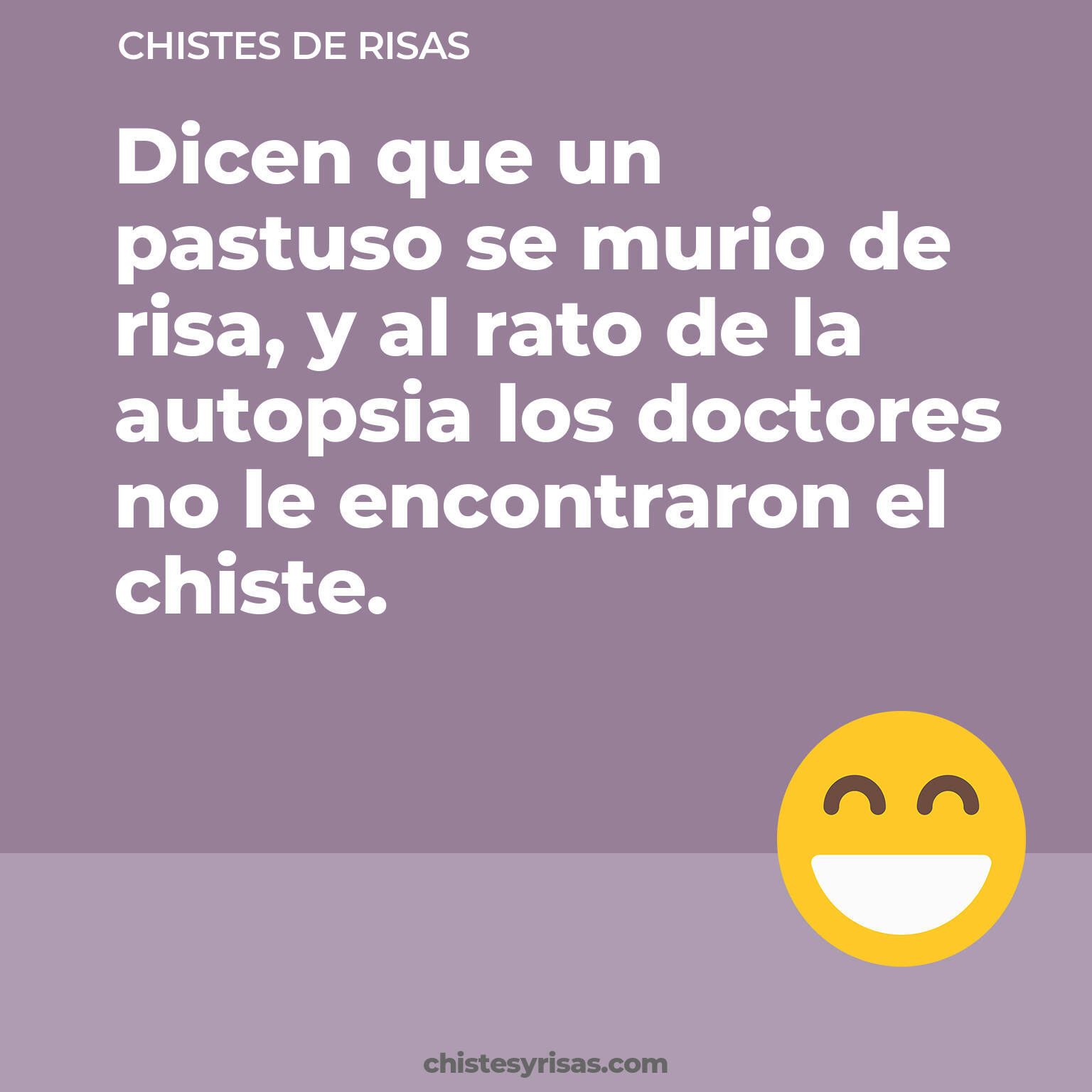 chistes de Risas cortos