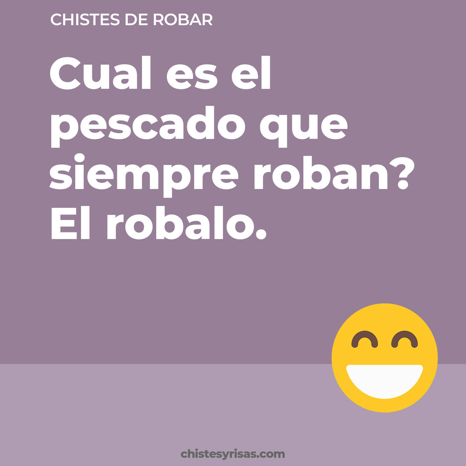 chistes de Robar más graciosos