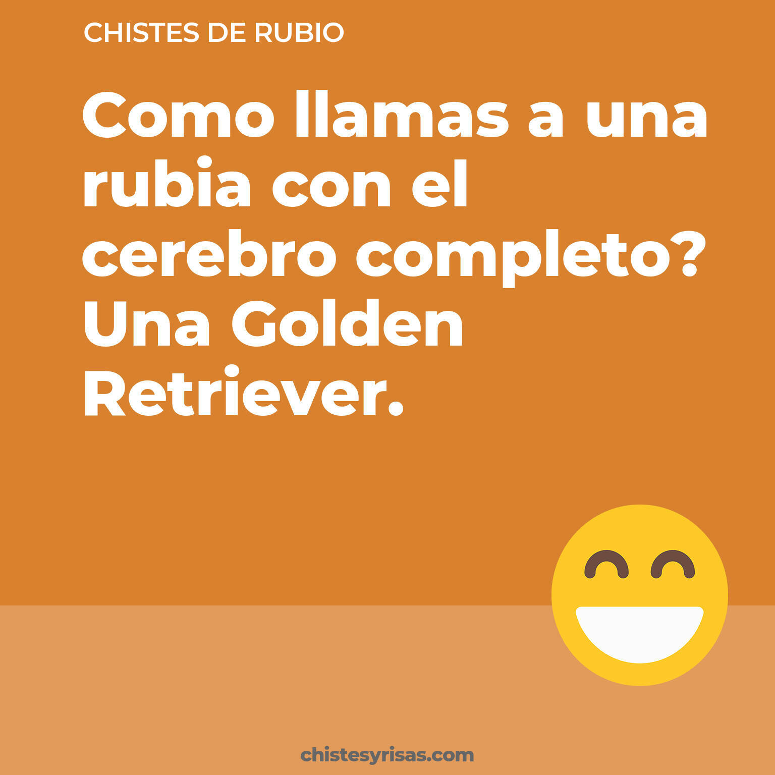 chistes de Rubio más graciosos