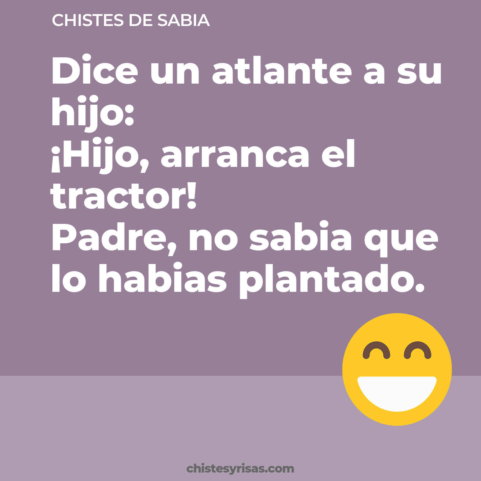 chistes de Sabia más graciosos