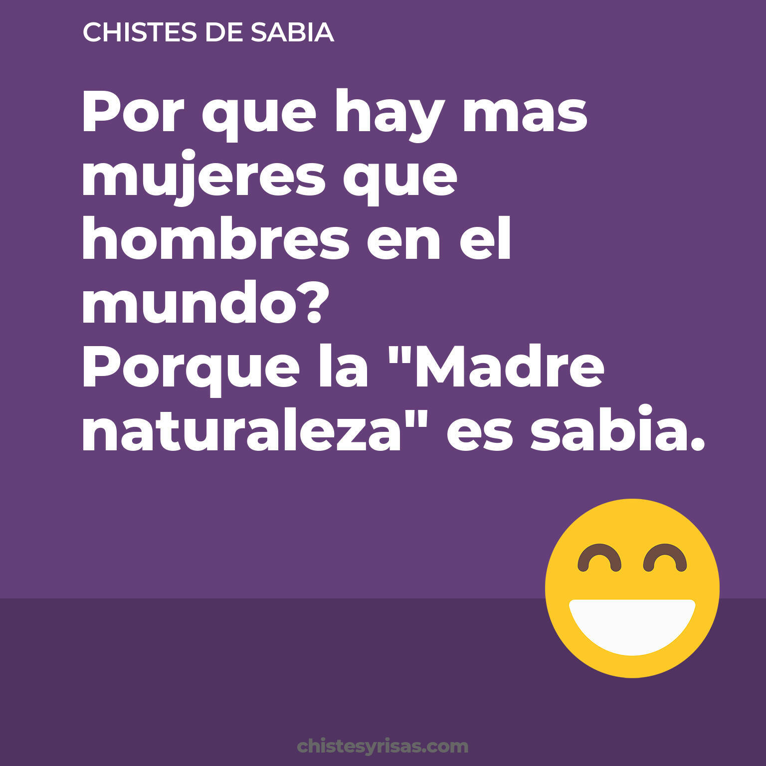 chistes de Sabia cortos