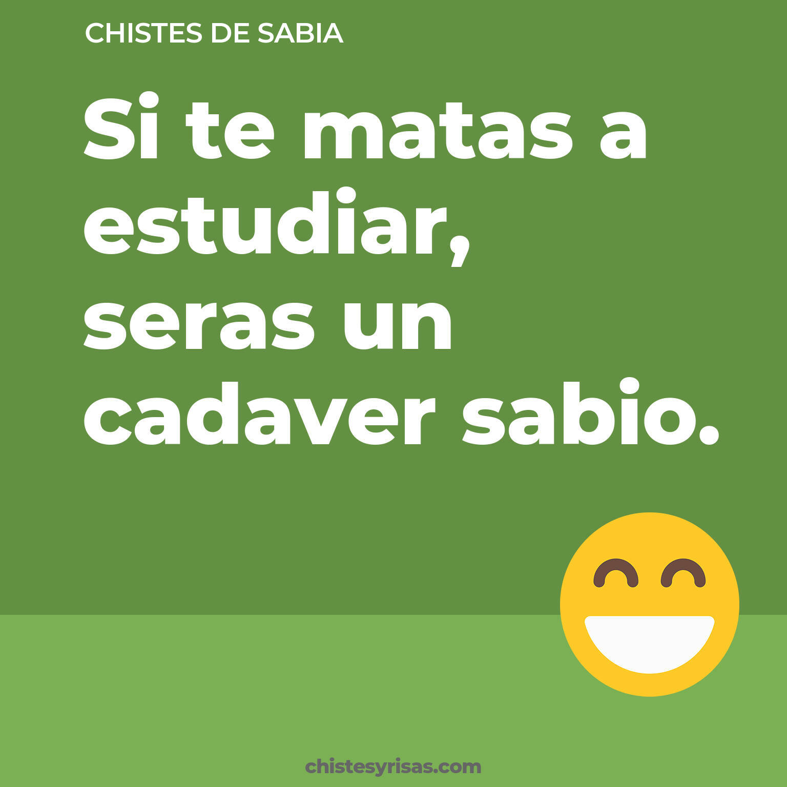 chistes de Sabia buenos