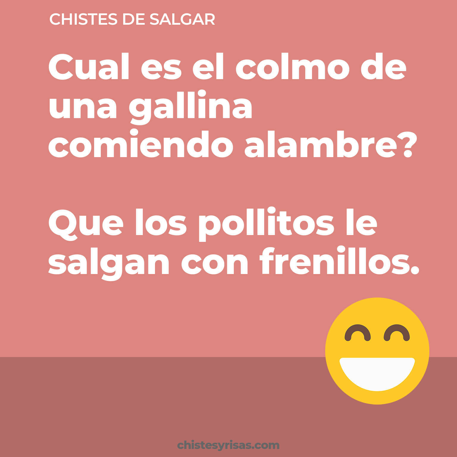 chistes de Salgar cortos