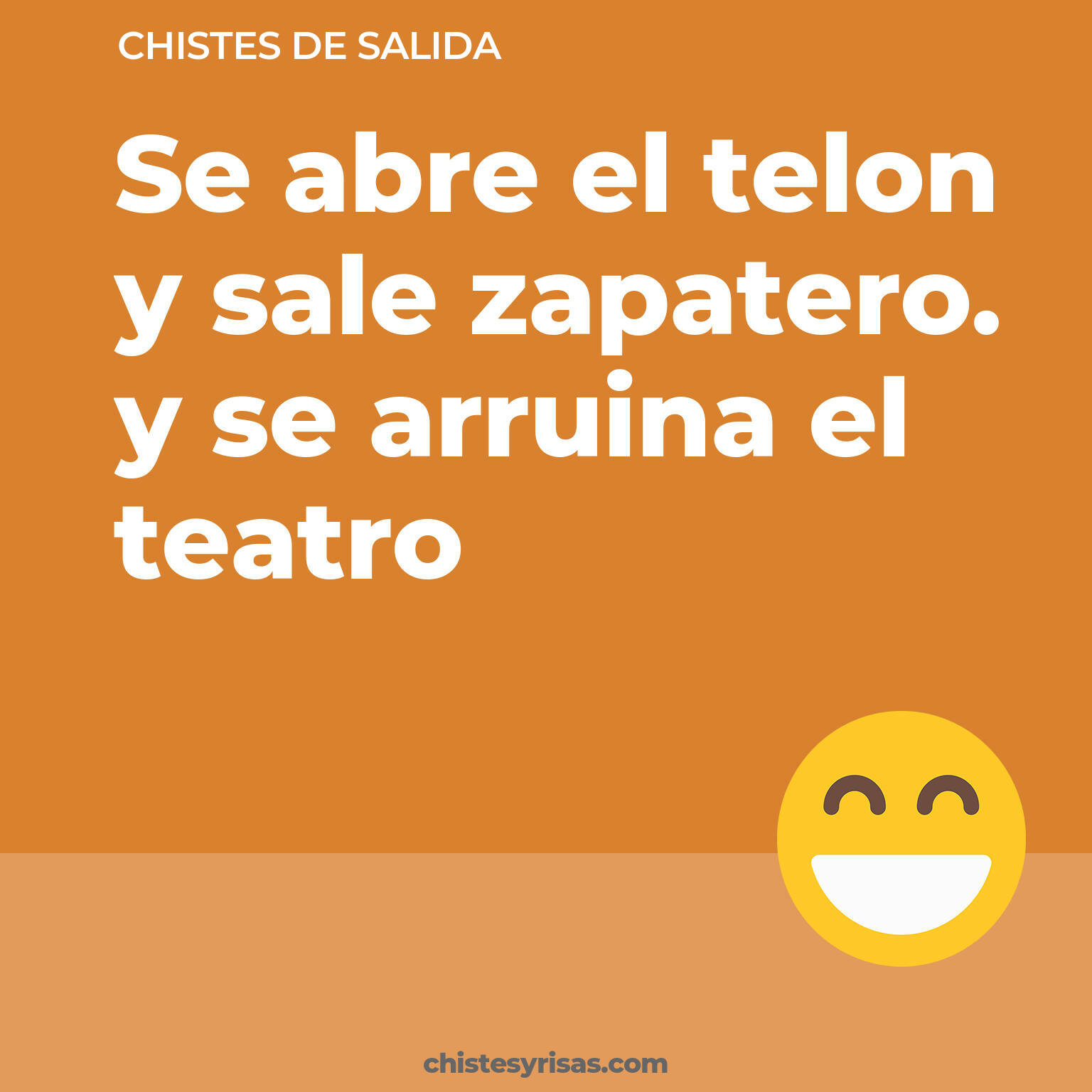 chistes de Salida cortos