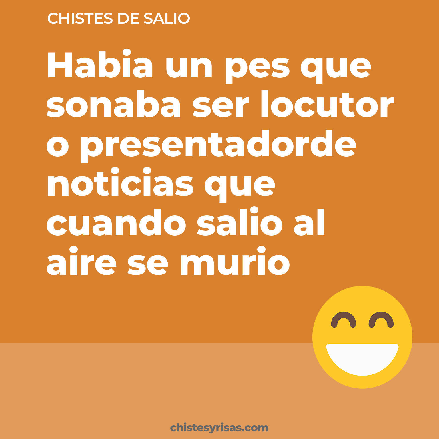 chistes de Salio más graciosos