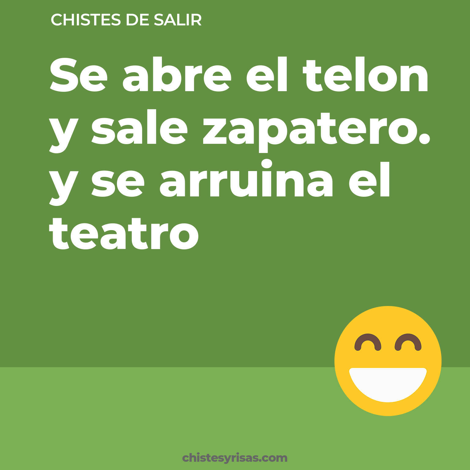 chistes de Salir cortos