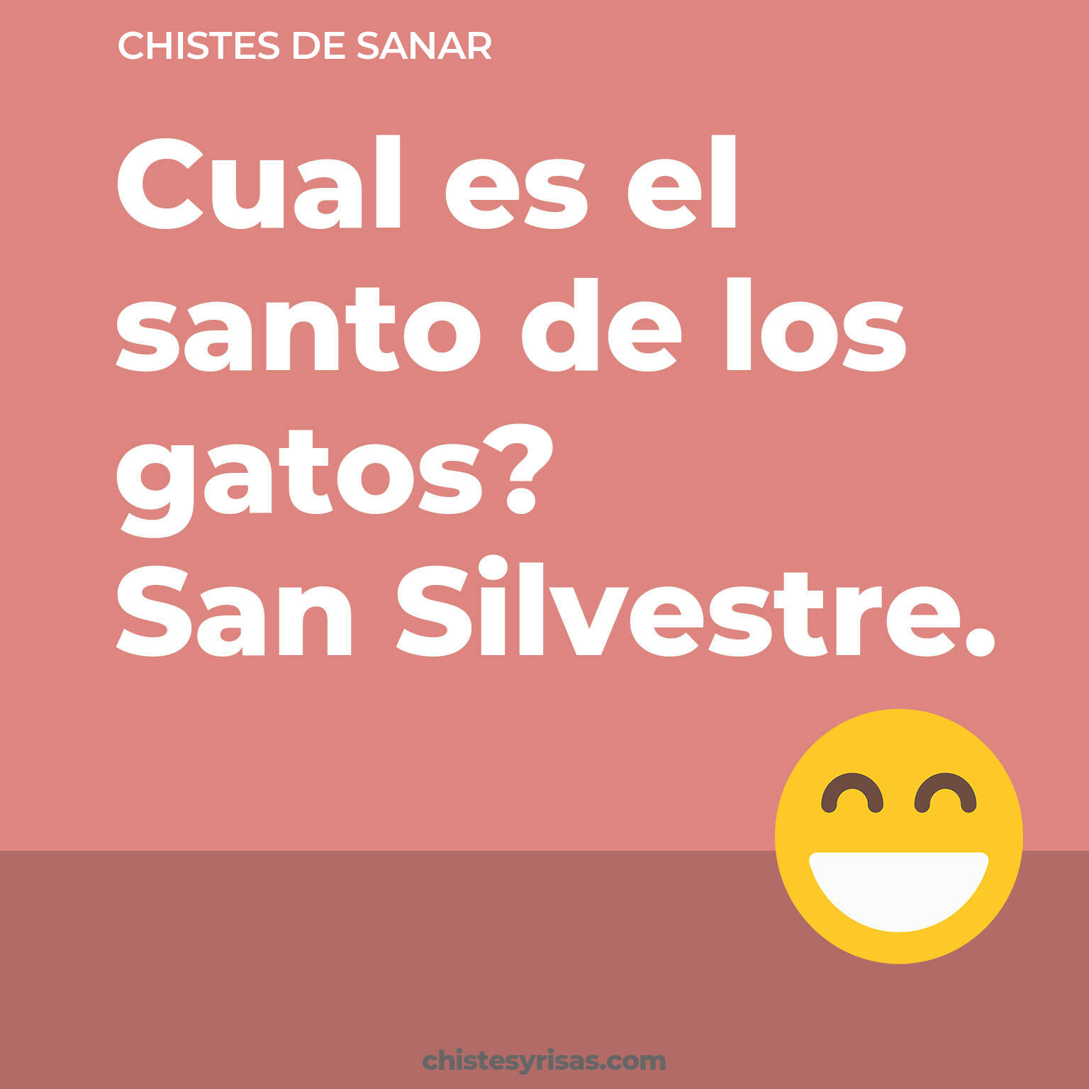 chistes de Sanar cortos