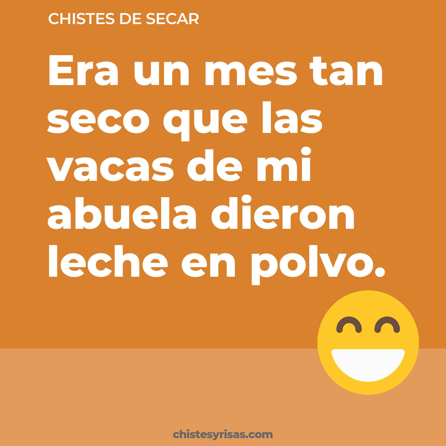 chistes de Secar cortos