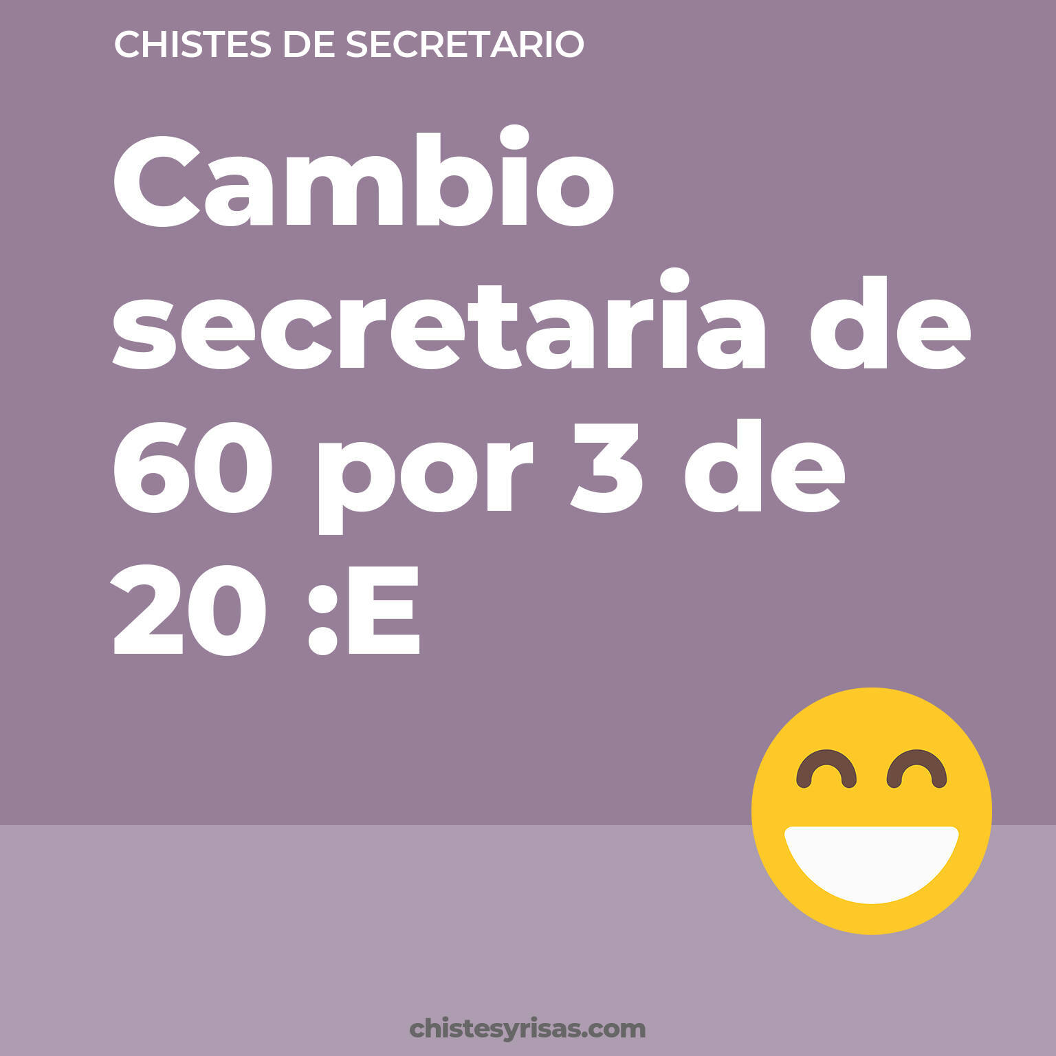 chistes de Secretario más graciosos