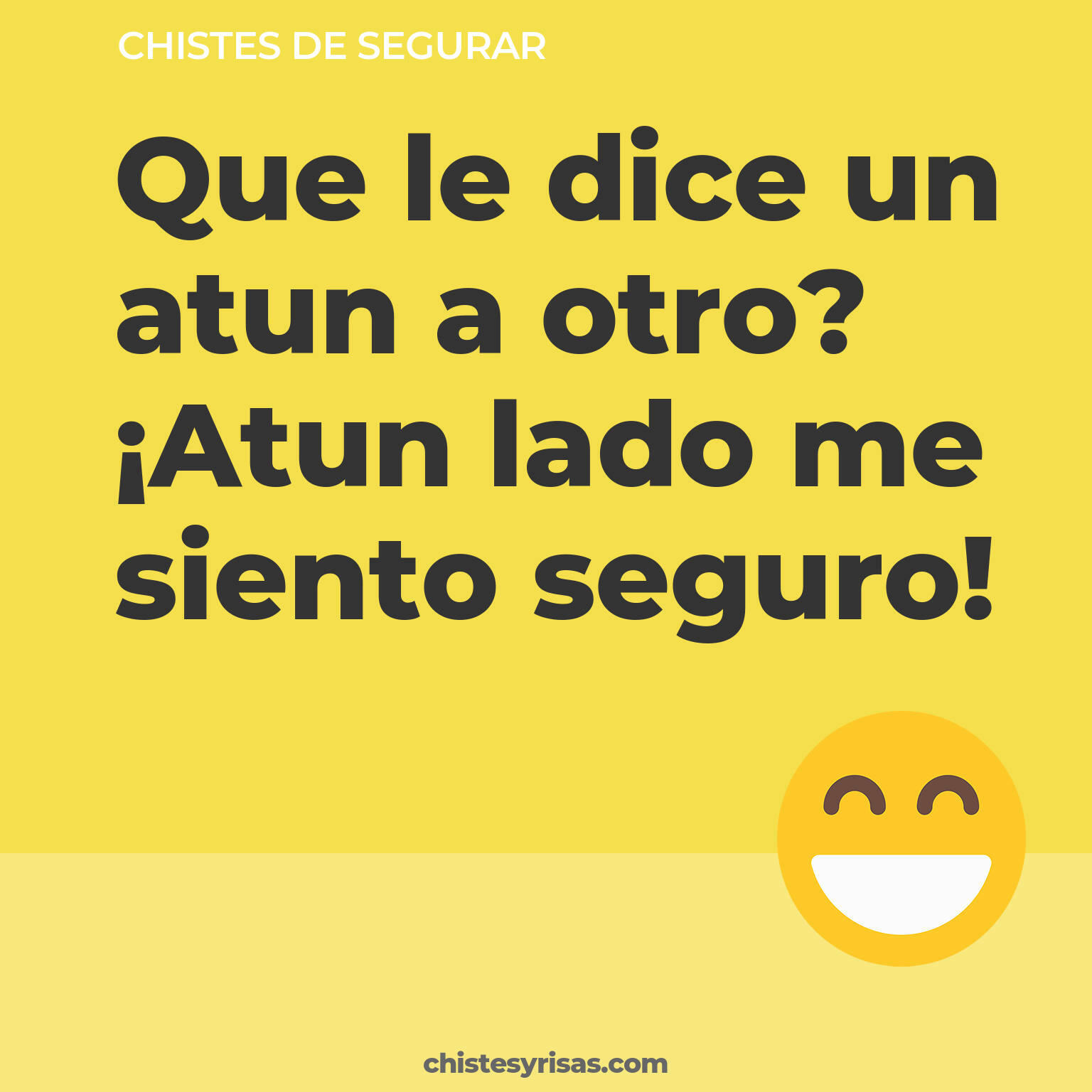 chistes de Segurar cortos