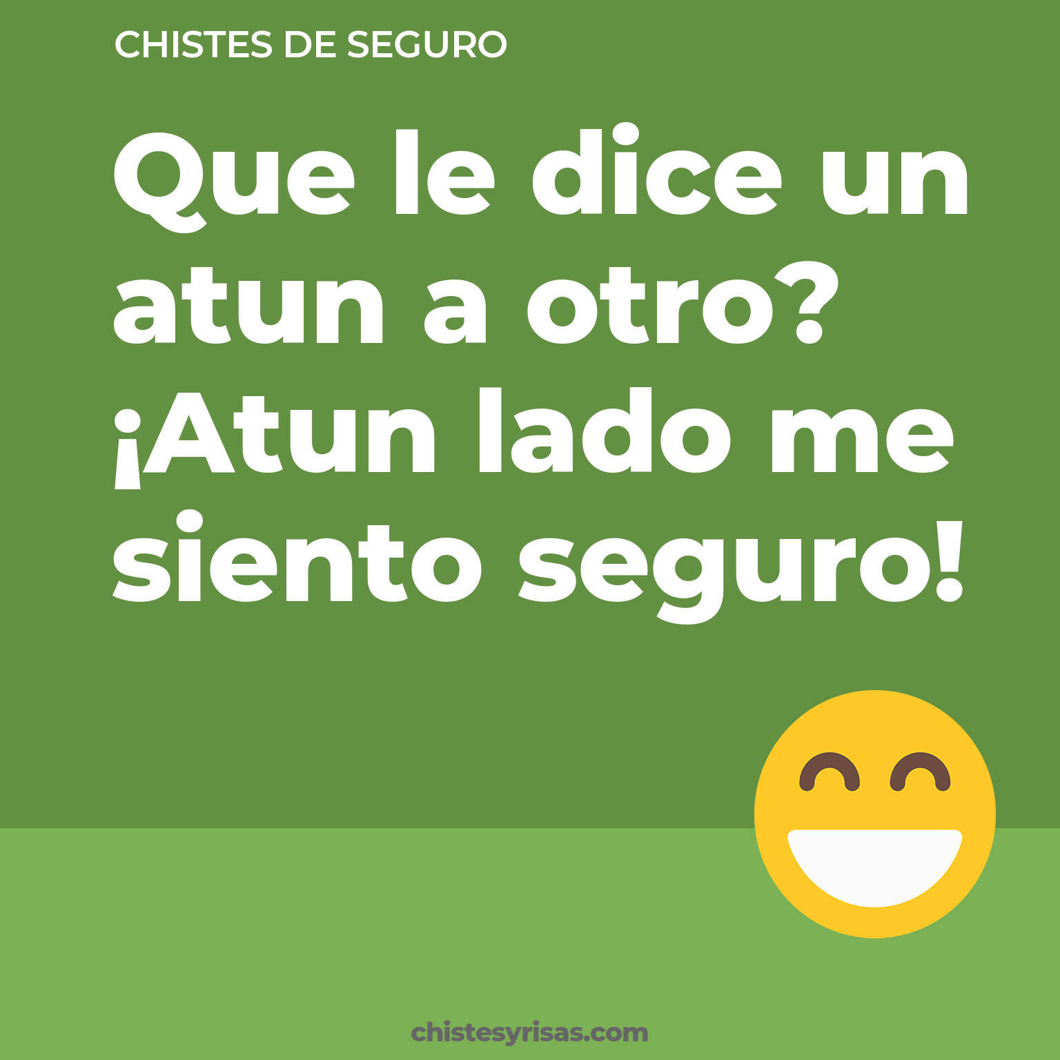 chistes de Seguro cortos