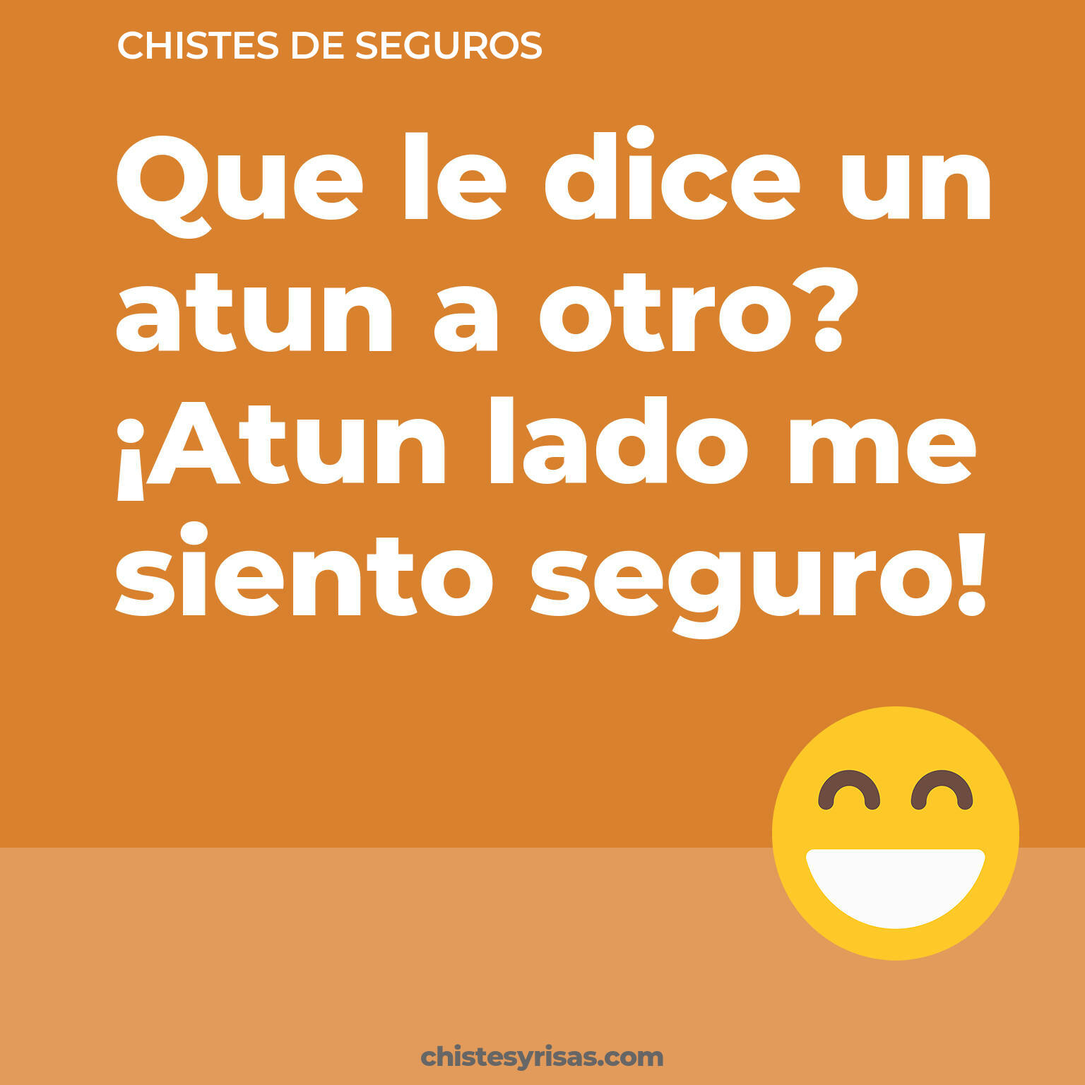 chistes de Seguros cortos