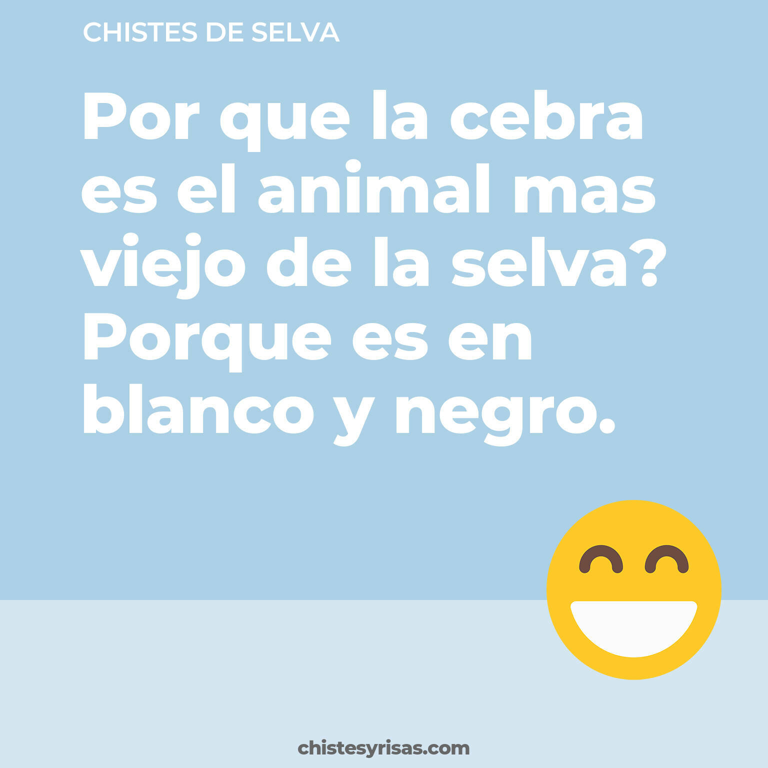 chistes de Selva buenos