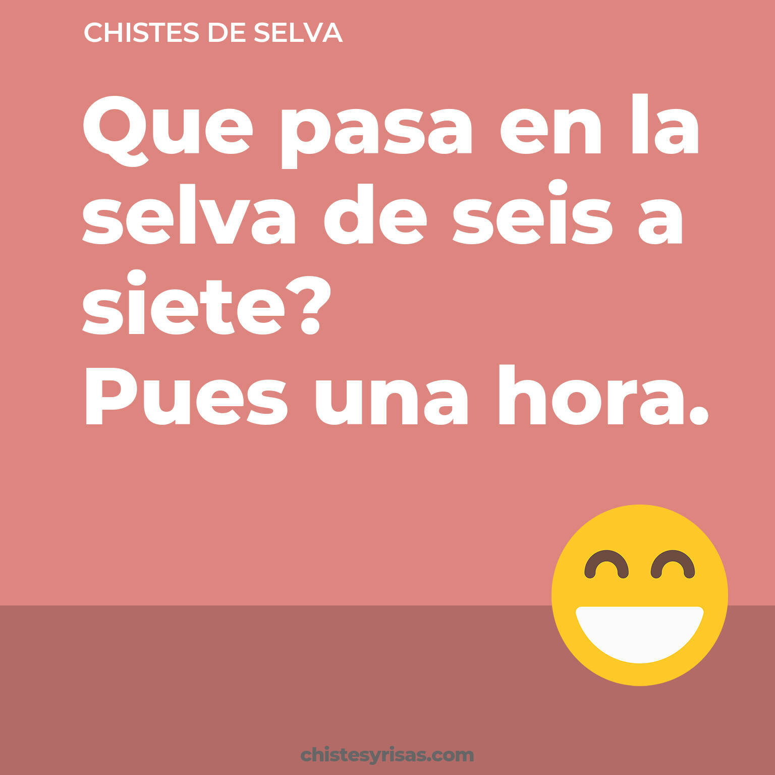 chistes de Selva cortos