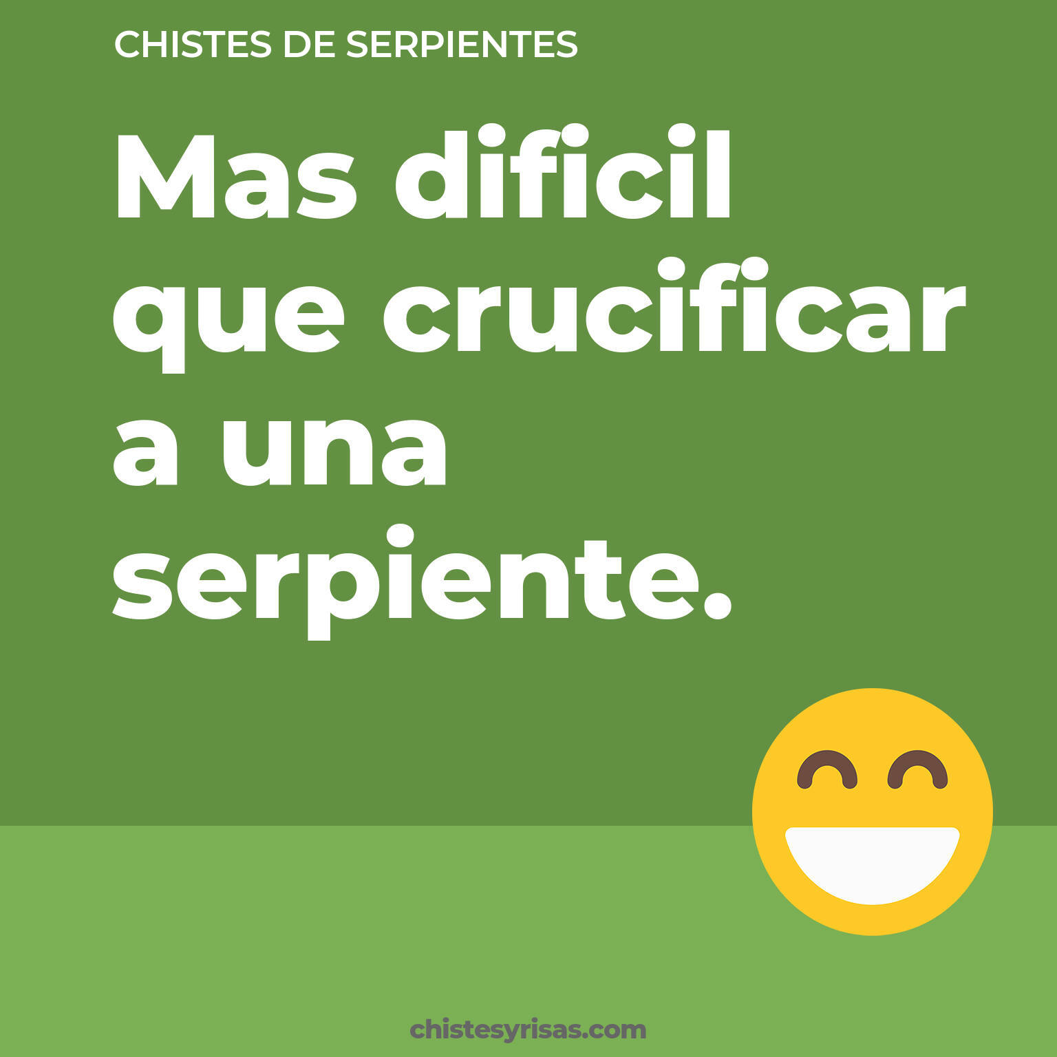 chistes de Serpientes buenos