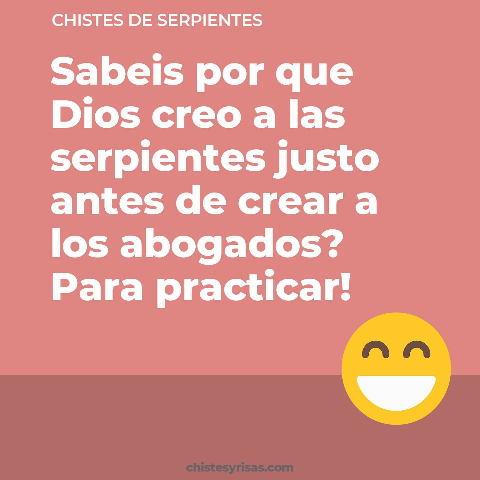 chistes de Serpientes cortos