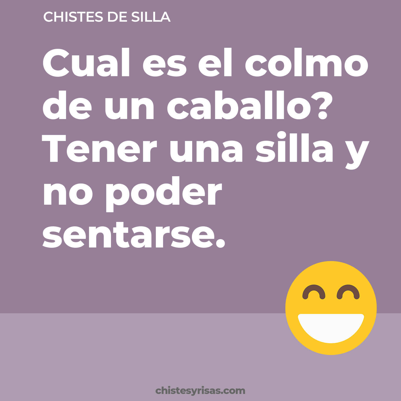 chistes de Silla más graciosos