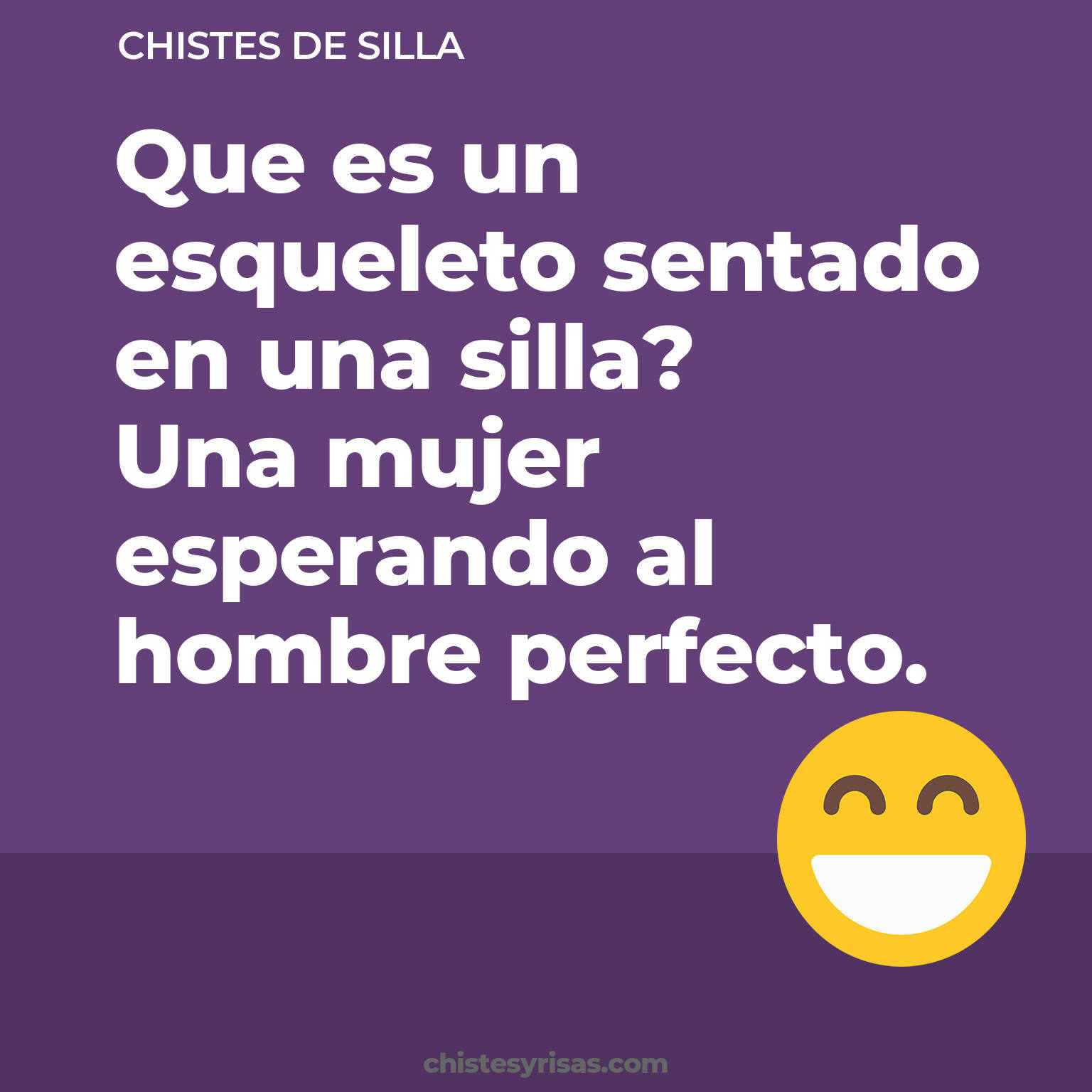 chistes de Silla buenos