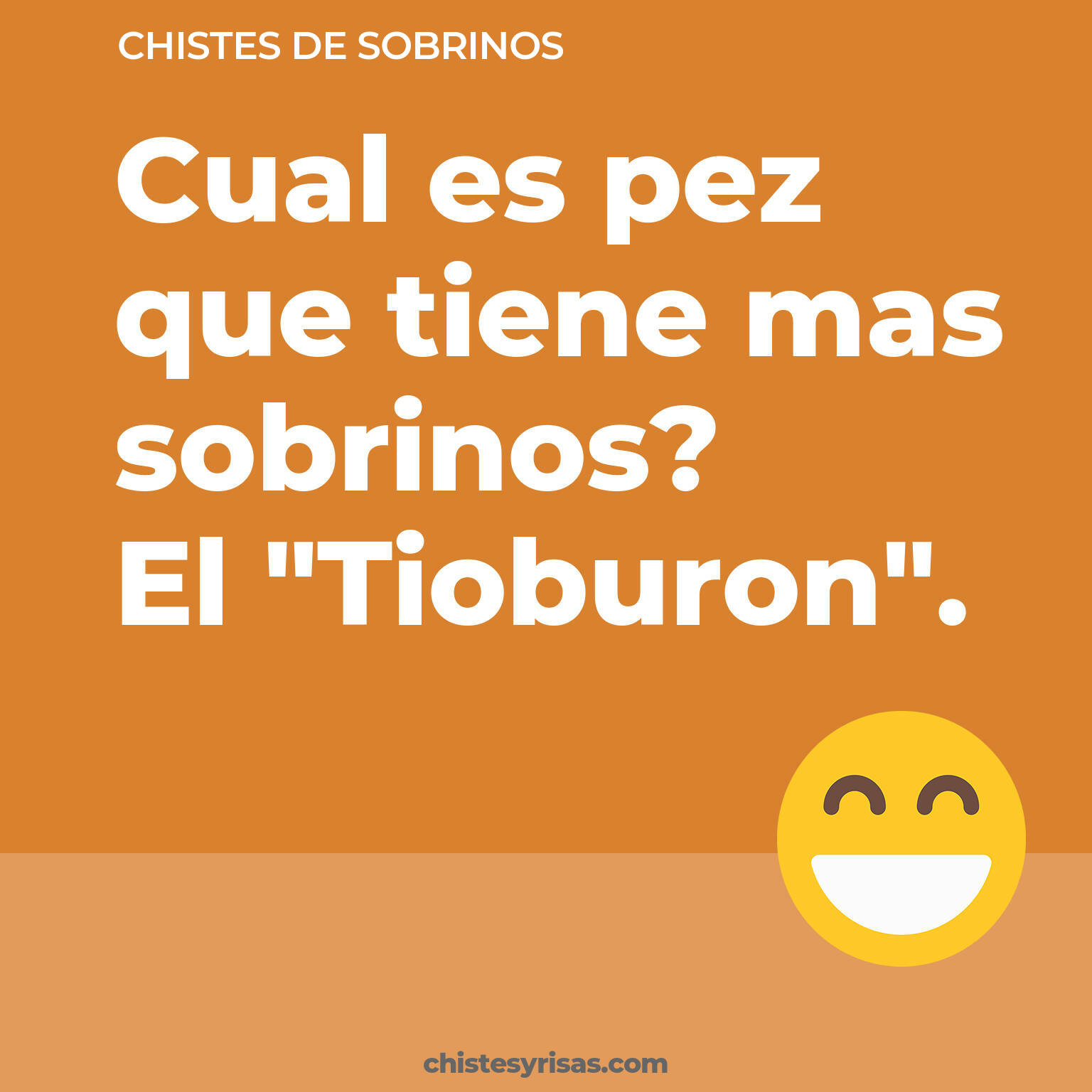 chistes de Sobrinos más graciosos