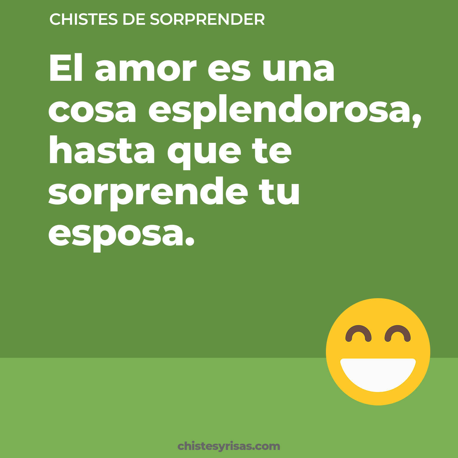 chistes de Sorprender buenos