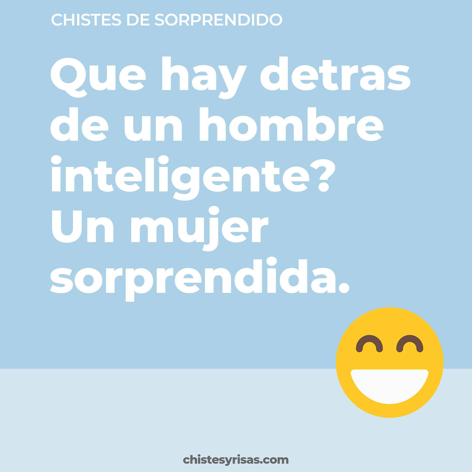 chistes de Sorprendido cortos