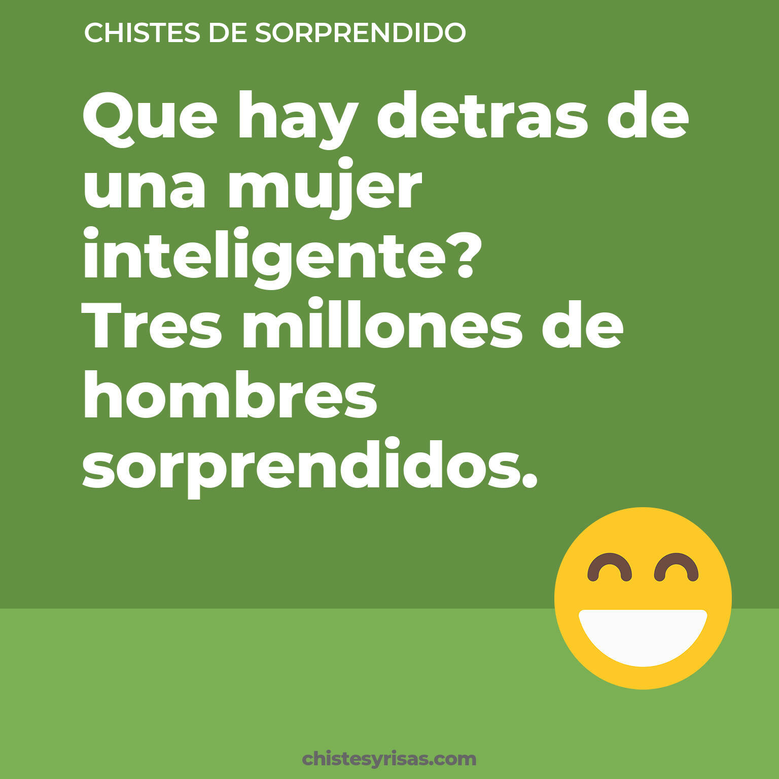 chistes de Sorprendido más graciosos