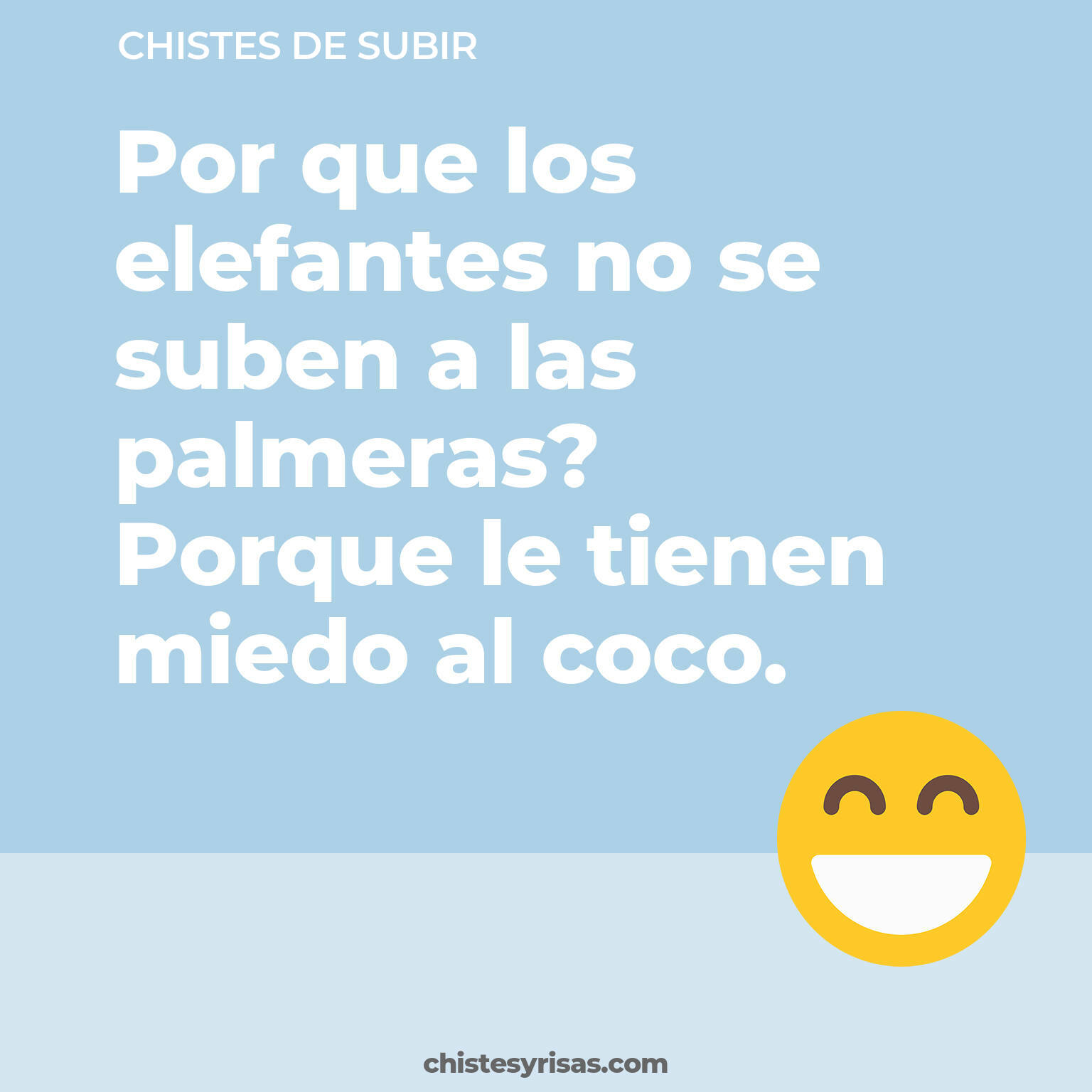 chistes de Subir cortos