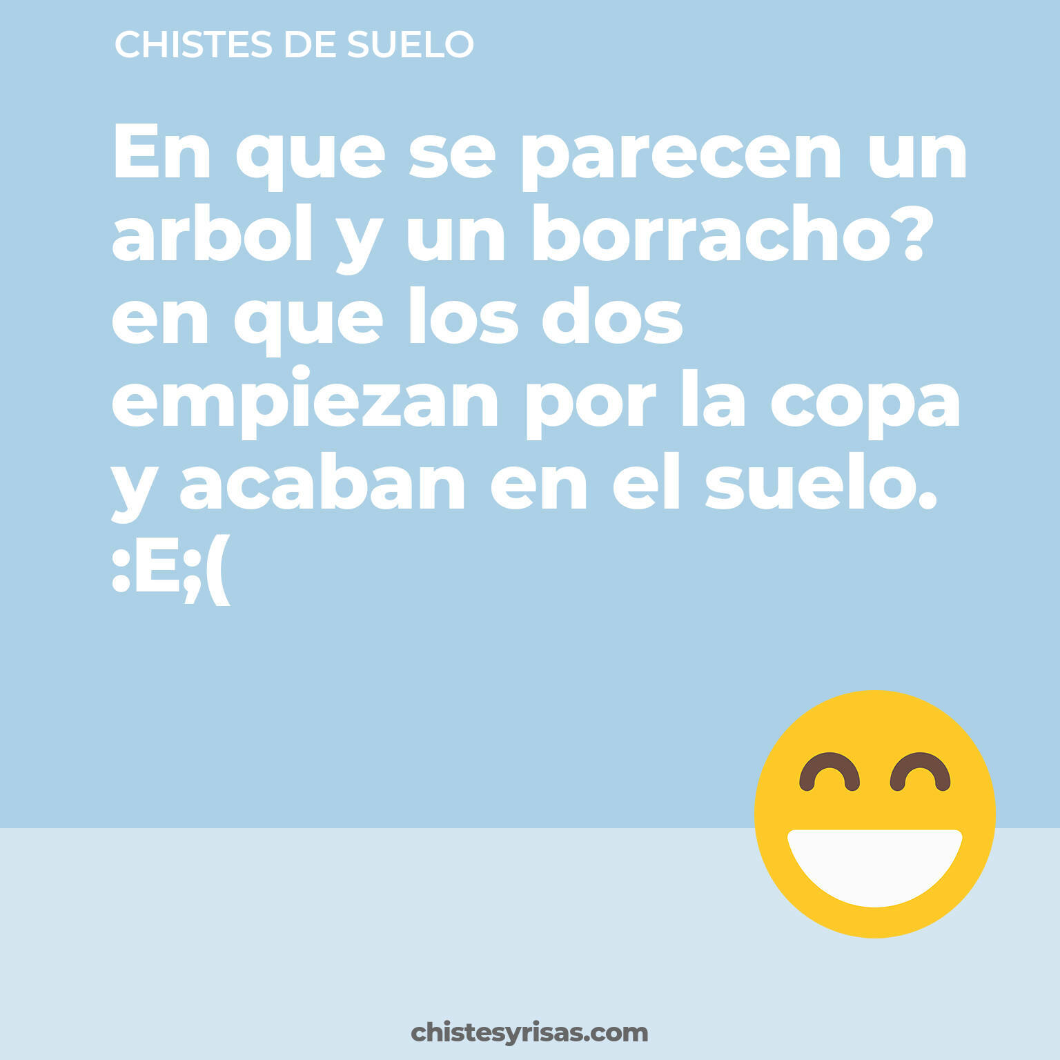 chistes de Suelo más graciosos